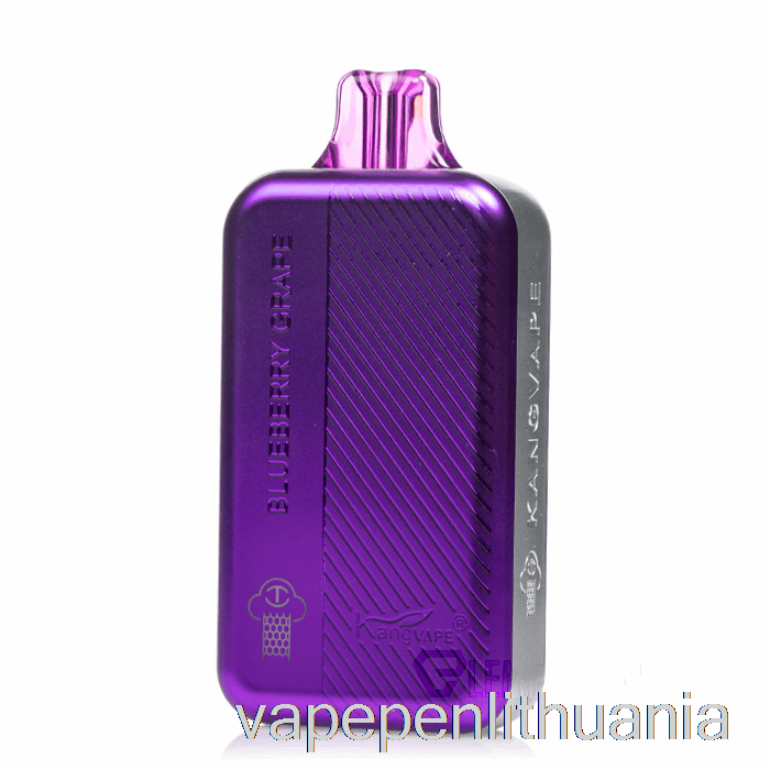 Kangvape Tc8000 Vienkartinis Mėlynių Vynuogių Vape Skystis